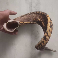 Shofar casher en corne de mouton biologique de qualité supérieure, corne naturelle polie, pour la fête de Rosh Hashanah, design personnalisé de haute qualité
