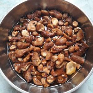 Viande végétale alternative de qualité supérieure, surgelée, à base de champignons, pour l'exportation - Product Image 5