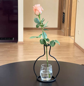 Florero de tubo de vidrio con forma de cilindro, maceta minimalista, maceta de hierro sin marco negra nórdica, jarrón de decoración sin marco - Product Image 5