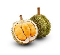 Vietnam 'S Verse Durian: Hoogwaardige, Nieuwe Oogst, Nu Op Voorraad