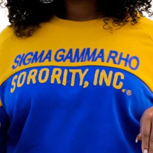 Sudadera de bloque de Color dorado Azul Real, Unisex Jersey de algodón, atuendo escolar de estilo de vida griego, elementos esenciales de uso diario - Product Image 4