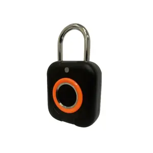 Electronic Security Biometric Usb Keyless Travel Luggage Small Smart Lock Fingerprint Padlock