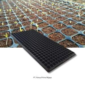 Bandeja de Semillero Rectangular Reutilizable de PVC de Alta Calidad, Sin Recubrimiento, de 288 Celdas |   Bandeja de Cultivo Extra Fina para Vivero, Vegetales y Flores - Product Image 6