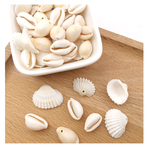 Copeaux de coquillages multicolores 2-3cm pour sous-verres faits à la main, décoration de bocaux à bougies et aimants - Product Image 5