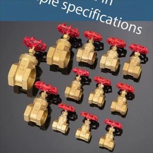 Katup Stop Tembaga Tekanan Rendah Permukaan Halus BORI Berkualitas Tinggi dengan Ulir G dan Garansi 1 Tahun - Product Image 3