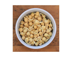 Vente en gros de pois chiches blancs biologiques/vente en gros de pois chiches Kabuli frais de 6 mm pois chiches pois chiches bas prix - Product Image 4