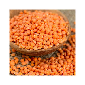 Lentejas rojas ricas en proteínas, ofrecidas a granel con suministro directo de fábrica - Product Image 1