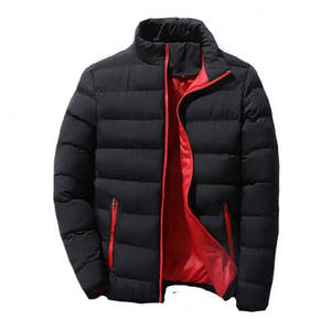Veste polaire avec logo personnalisé veste d'hiver pour hommes pour l'extérieur léger chaud plume de canard col montant fermeture éclair respirant OEM 2025 - Product Image 2