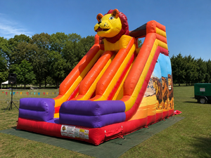 Parque Infantil Inflable Profesional de 7x4x6 m – Tobogán Inflable de PVC – Uso Profesional en Interiores/Exteriores – Cumple con las Normas de la UE - Product Image 1