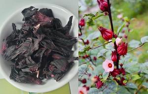 Té de flores de hibisco seco puro, brotes de alcachofa roja, flores de Roselle naturales, té de hierbas Premium con gran sabor de Vietnam - Product Image 3