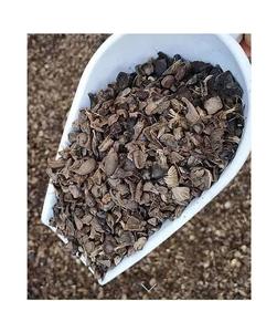 Cáscara de Nuez de Palma al por Mayor, Origen FR, Directo de Fábrica, 24 Meses de Vida Útil, Marca FR09877A, Almacenamiento en Frío y Seco - Product Image 1