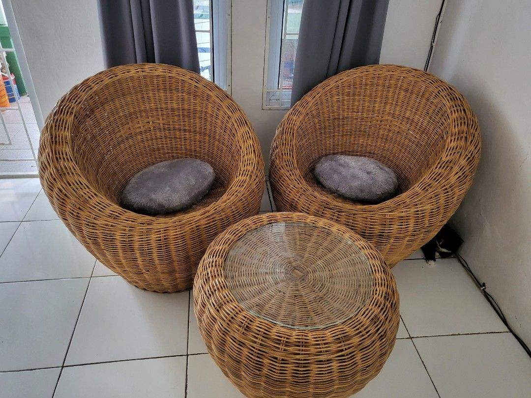 หวายสีช็อกโกแลต