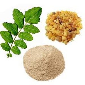 Boswellia Serrata Extracto 65% Boswellic Ácido Polvo de hierbas soluble en agua en tambor Envasado al vacío Boswellia Muestra gratis disponible - Product Image 2