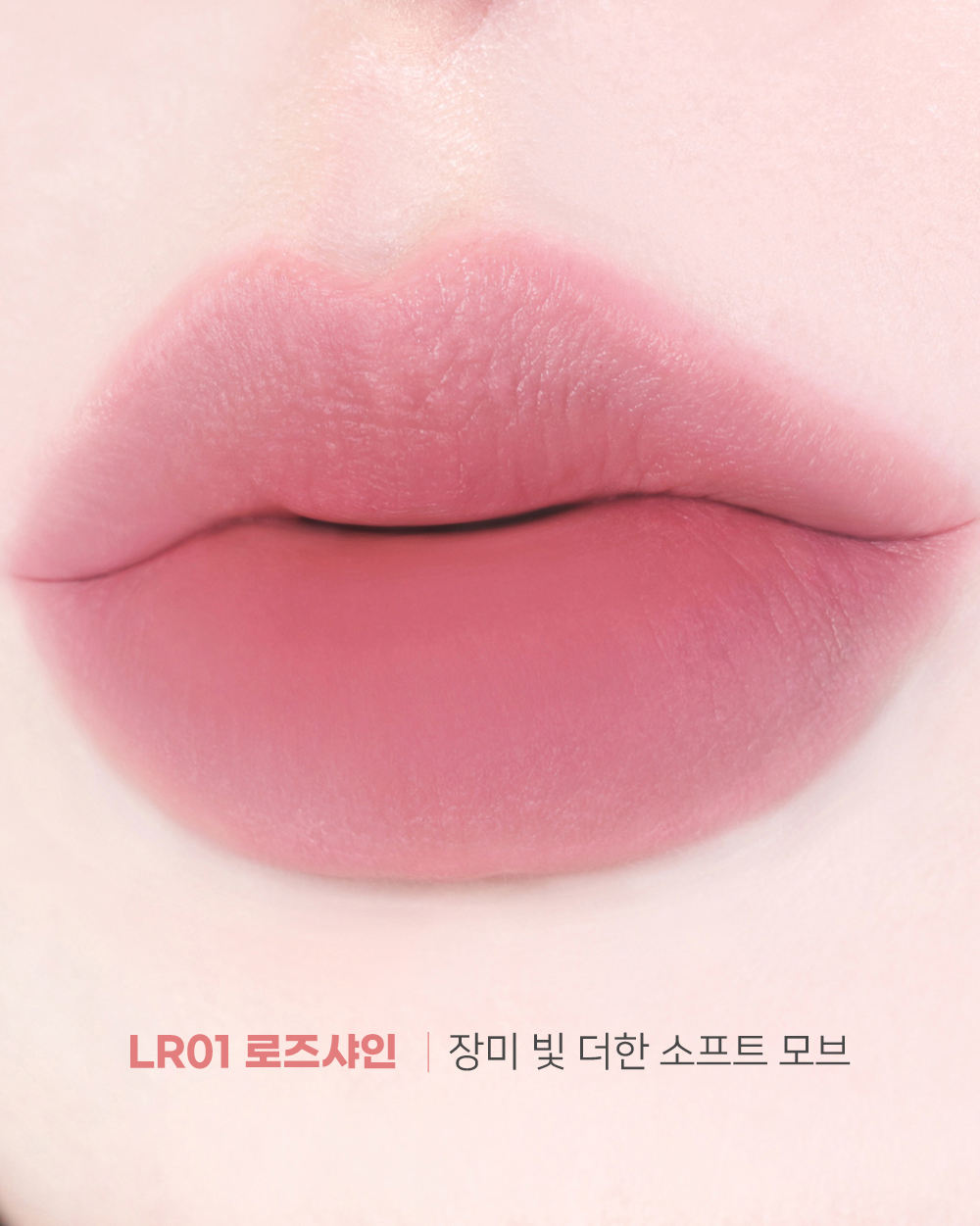 LR01. กุหลาบส่องแสง