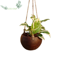 Pot Tanaman dari Kulit Kelapa Eco2go Vietnam dengan Merek Kustom - Pot Alami Tahan Busuk dengan Drainase untuk Anggrek & Pembibitan Dalam Ruangan
