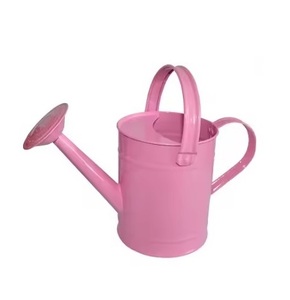 บัวรดน้ำโลหะทันสมัยสำหรับพืชในร่มทนสนิมเหมาะสำหรับปลูกต้นไม้ในสวนในบ้านในราคาประหยัด - Product Image 3