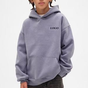 Sweat à capuche uni pour garçons, design essentiel pour l'hiver 2026, couture durable, service OEM, prix avantageux, pour les acheteurs en gros - Product Image 1