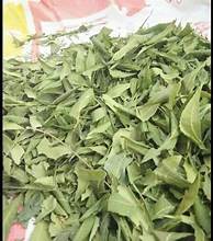 LEVAS CLAUSENA INDICA A BASE DE PLANTAS ETIQUETA LIMPIA SOLUCIÓN HERBAL NATURAL PARA EL CUIDADO DEL HÍGADO IMPULSO Y RELAJACIÓN - Product Image 4