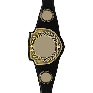 Ceinture de championnat de boxe et de lutte personnalisée, ceinture de championnat de boxe de qualité supérieure, best-seller, logo personnalisé par Elegant Sports - Product Image 5