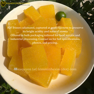 Cubos de Calamansi Congelados IQF de Vietnam para Bebidas y Procesamiento de Alimentos, Disponibles en Envases a Granel o Envasados al Vacío, Calamansi, Kalamondin - Product Image 4