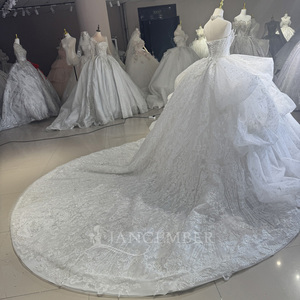 Robe de mariée de luxe moderne DW0186, coupe princesse, col bateau, avec appliques, dos lacé, longue traîne chapelle et cristaux - Product Image 3