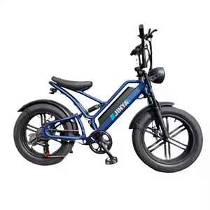 Hot Selling New 48V 250W <b>Electric</b> Mountain Bike Fast 45kh All Weather Foldable Steel Frame Two-Seats Fatbike with 48V Ebike - Product Image 1