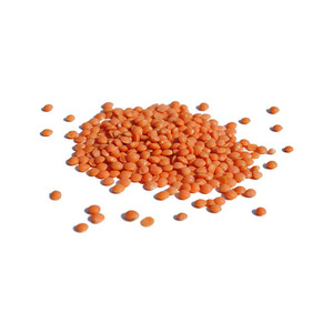 ถั่วเลนทิลแดงคุณภาพสูง สำหรับผู้ซื้อขายส่งที่ต้องการปริมาณคงที่ - Product Image 1