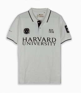 2025 moda para hombre Camiseta de algodón Casual cómoda básica tela suave logotipo personalizado impreso para pedidos al por mayor a granel - Product Image 2