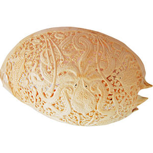 Sculpture art BIJOUX SEASHELL avec Sculpture Art 26 cm Shell Motif Animal Style - Product Image 1