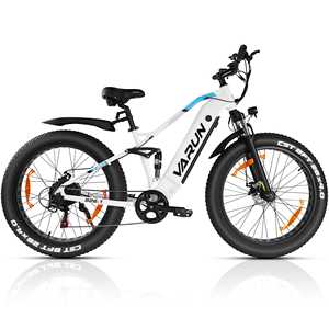 VARUN-Bicicleta de montaña eléctrica, cuadro de titanio de 12 velocidades, de 12V batería de litio, integrada, motor de 250W/350W, de largo alcance - Product Image 1