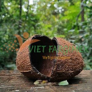 COQUE DE NOIX DE COCO DU VIETNAM AVEC PRIX BON MARCHÉ/HOT DEAL EXPORTATION COQUE DE NOIX DE COCO MEILLEUR PRIX DU MARCHÉ DE VIETFARGIMEX - Product Image 2
