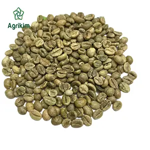 [Pronto per la spedizione] chicchi verdi Robusta di alta qualità caffè/chicchi di caffè del Vietnam dal fornitore affidabile del Vietnam + 84363565928