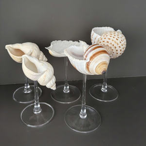 Gobelet à vin coquillage naturel du Vietnam fait à la main tasse de coquille d'océan pour les boissons, les fêtes et la décoration - Product Image 1