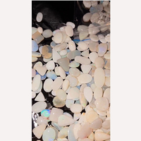 320 pièces d'opale australienne naturelle 8mm à 15mm ovale inégal Cabochon 750 Cts Lot Iroc ventes lâche Gemstone Cab US $150 pour tous