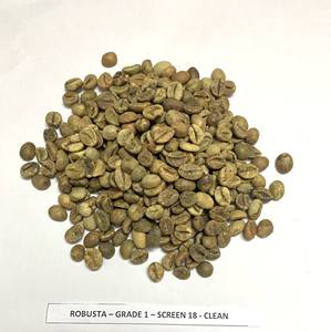 Grains de café Robusta No1 certifiés pour l'exportation au Vietnam, rôtis, emballés dans un sac d'échantillon gratuit, contactez Ruby + 84 359318390 - Product Image 3