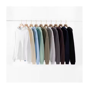 Meilleures ventes Sweats à capuche d'automne pour hommes 100% coton sur mesure Impression de logo de qualité supérieure Couleurs unies Écologique Respirant Bas - Product Image 1