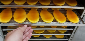 Mango seco masticable 100% natural de Vietnam, bocadillo saludable y sabroso con embalaje de exportación personalizado y opciones de etiqueta privada - Product Image 6