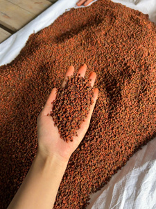 เมล็ดดอกคำฝอยแห้งบดเป็นเม็ดดิบสำหรับปรุงอาหารและเตรียมอาหาร - Product Image 6