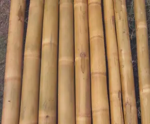 Fornitore di pali di bambù grandi lavorati con varie dimensioni sig. Ra Sophie