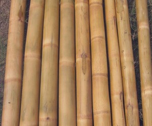 Proveedor de postes de bambú grandes procesados con varios tamaños-postes de bambú Vietnam Sra Sophie - Product Image 1