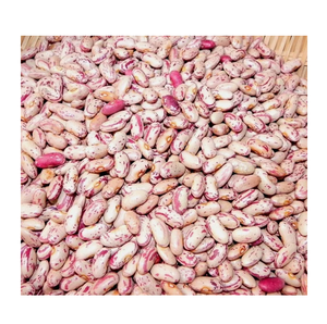 Light Speckled <b>Kidney</b> <b>beans</b> sugar <b>beans</b> pinto <b>beans</b> for sale - Product Image 2