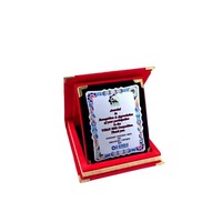 Plaque de récompense en métal argenté imprimé très demandée, avec boîte en velours haut de gamme, écologique, pour les réalisations sportives, Regal Incorporation TRO-2659