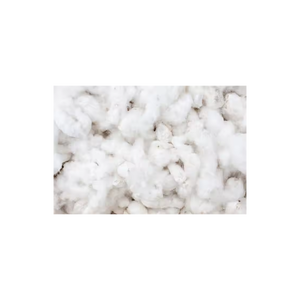 Coton brut de grand volume pour les usines de tissus industriels-Prêt pour l'exportation pour les moyeux textiles pour la filature - Product Image 5