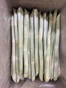 Canne à sucre verte et violette congelée vietnamienne à prix compétitif, bâton de canne à sucre congelé de nouvelle culture, jus de canne à sucre pour l'exportation - Product Image 6