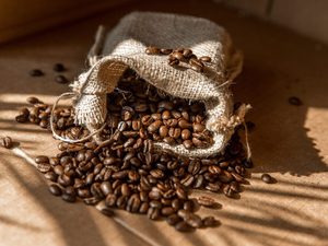 Café moulu torréfié Robusta biologique du Vietnam 100% naturel Grains verts Grade AA+ TNFOOD Certifié ISO 22000 Fournisseur d'usine - Product Image 6