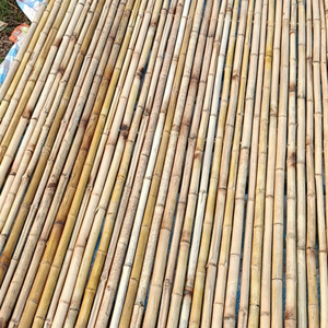 Cañas de Bambú Natural Premium para Cercas de Jardín, Paisajismo y Delimitación de Tierras Agrícolas - Longitud y Diámetro Personalizables, Fabricante de Vietnam - Product Image 6