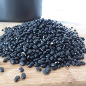 Haricots noirs en vrac, haricots noirs de qualité supérieure, frais, naturels, sains, biologiques, qualité supérieure, vente en gros disponible - Product Image 2