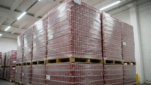 Refresco Coca-Cola Auténtico en Latas de Aluminio de 330ml y 500ml, OEM, Exportación, Venta al Por Mayor - Product Image 3