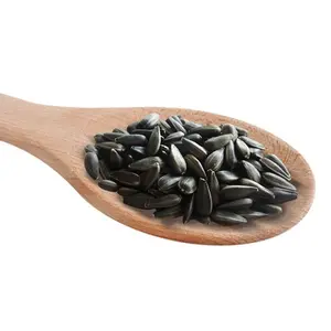 SUNFLOWER SEED FOR EXPORT
