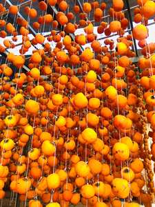 ลูกพลับอบแห้งแบบสดใหม่ลูกพลับแห้งสำหรับค้าปลีกและบรรจุภัณฑ์จำนวนมาก-ลูกพลับอบแห้งเพื่อสุขภาพ - Product Image 3